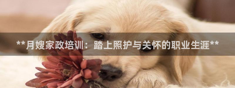 杏悦登入