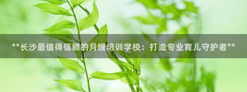 杏悦登入