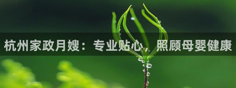杏悦平台代理怎么做的