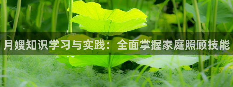 杏悦平台代理怎么做