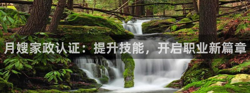 杏悦官方平台
