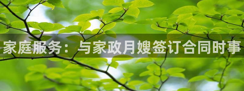 杏悦平台线路测速