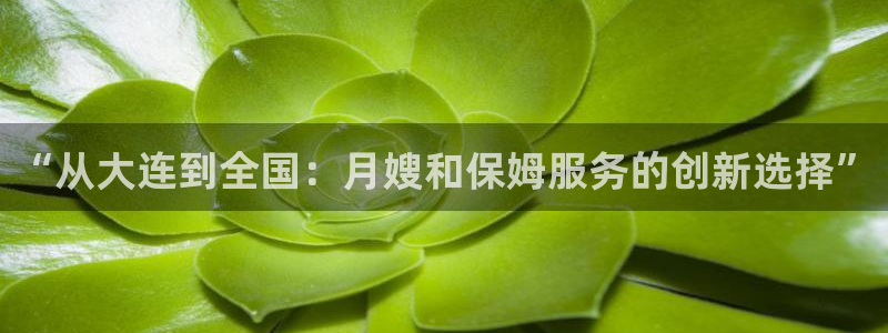 杏悦平台代理怎么做赚钱