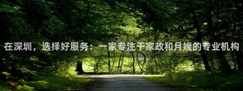 杏悦是什么平台