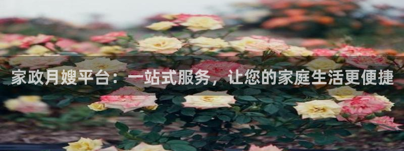 杏悦招商地址