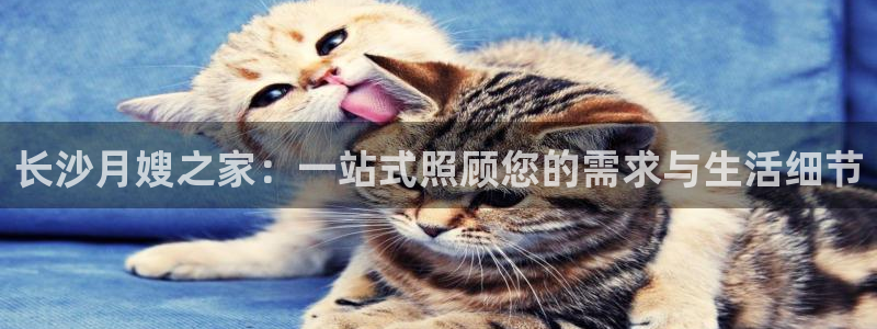 杏悦平台