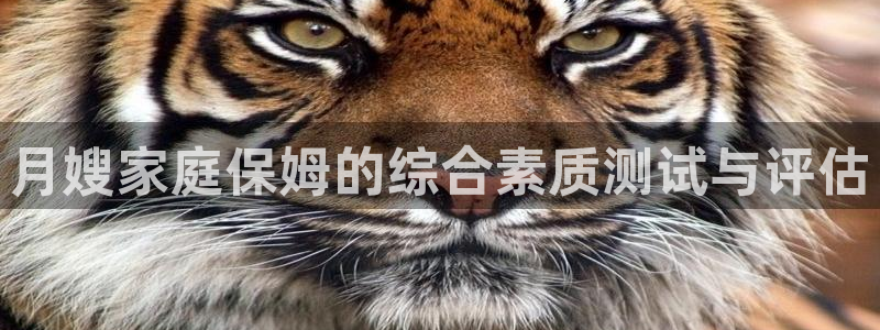 杏悦平台代理多少钱