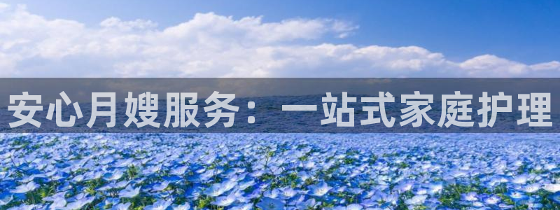 杏悦官网注册信息查询