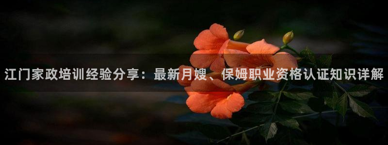 杏悦官方平台