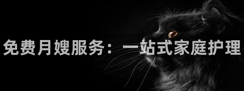 杏悦平台代理注册流程