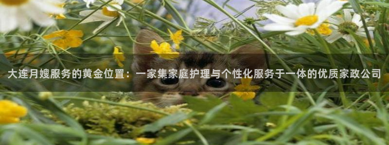 杏悦平台可靠吗可信吗