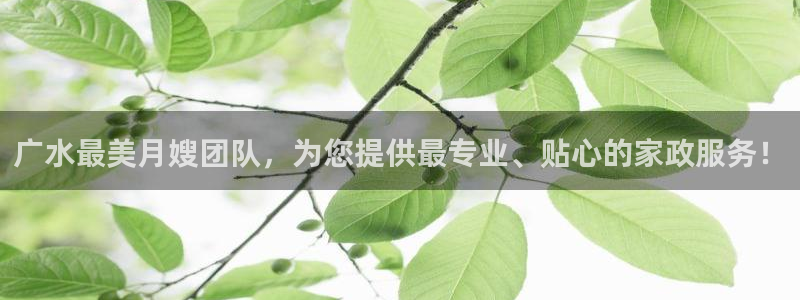 杏悦平台代理注册多少钱