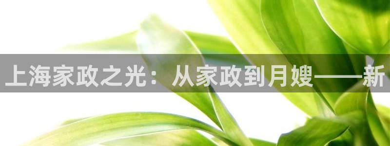 杏悦官网登录入口网址是多少