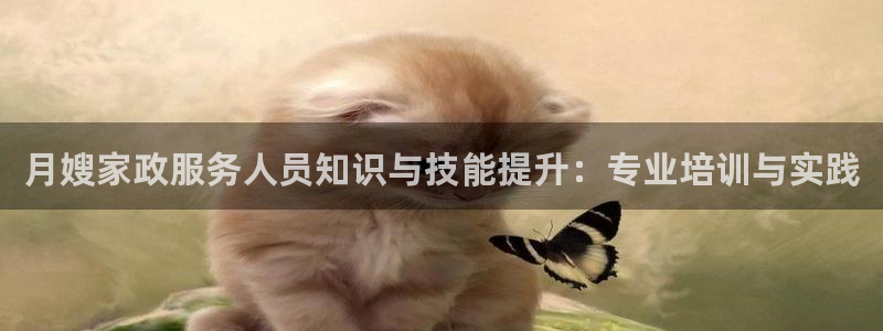 杏悦官网注册信息在哪里查看