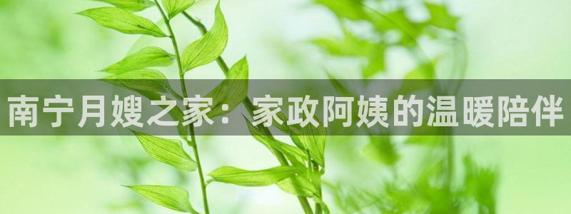 杏悦平台代理注册流程