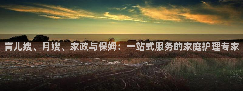 杏悦登录网址是什么