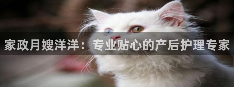 杏悦登录网址是什么