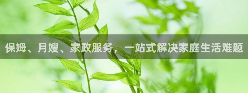 杏悦平台登录网址是多少