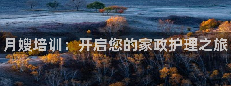 杏悦登录网址是什么