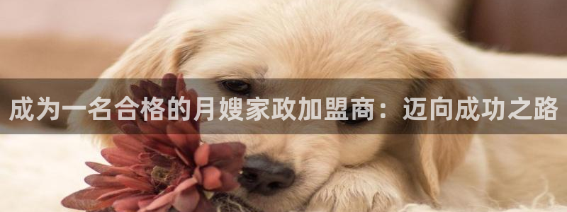 杏悦官网登录入口网址是多少