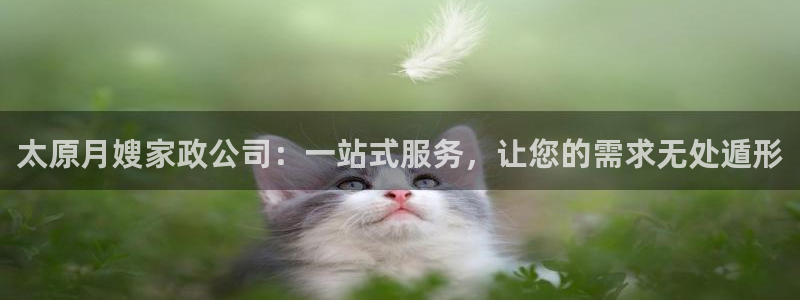 杏悦娱乐注册平台有哪些