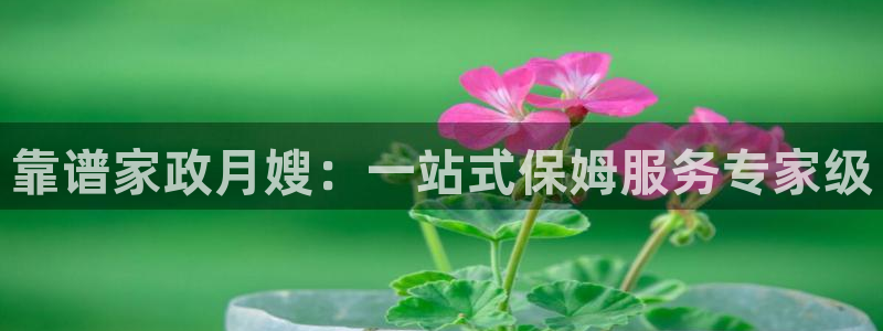 杏悦平台注册要钱吗