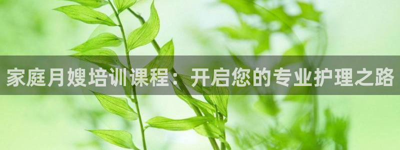 杏悦平台登录网址是什么