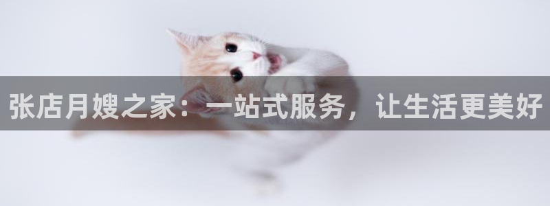 杏悦平台登录网址查询