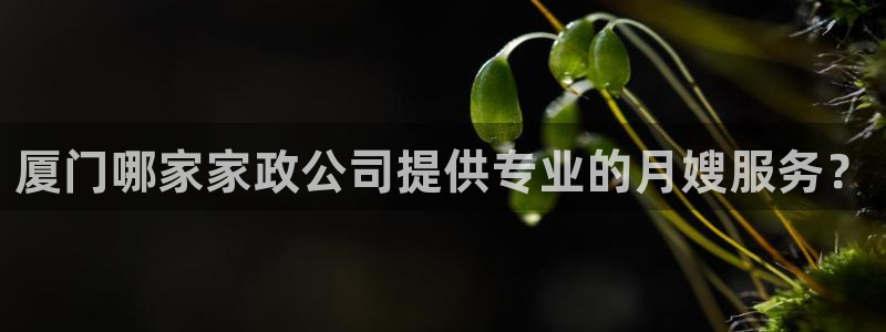 杏悦官网登录入口网址是什么