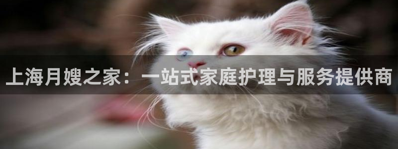 杏悦官网注册信息在哪里