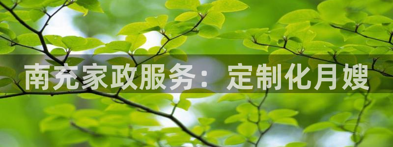 杏悦官方平台官网