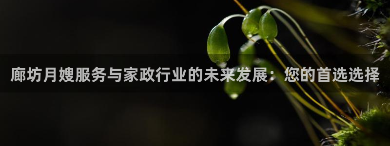 杏悦官网登录入口网址是什么