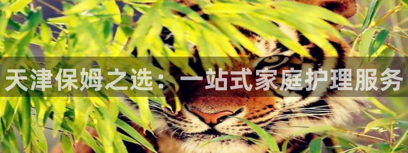 杏悦娱乐平台靠谱吗