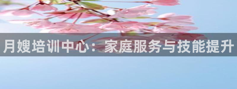 杏悦官网注册信息是什么样的