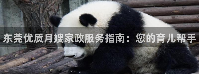 杏悦平台登录入口官网