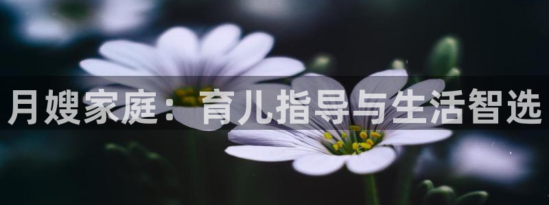 杏悦平台开户地址怎么改