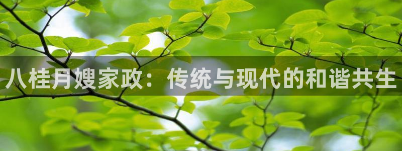 杏悦平台注册网址