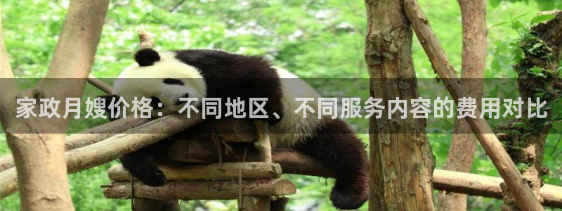 杏悦官方平台官网入口